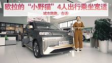 欧拉的“小野猫”4人出行乘坐宽适，城市跑跑，合适！