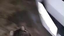  #王广允你就是我的唯一 