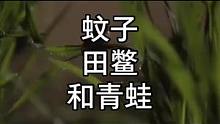 谁比谁惨  上演适者生存 送上门的青蛙#户外探险 #拍摄