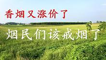 香烟价格又上涨了，你会考虑戒烟吗？3.5亿烟民又该难受了