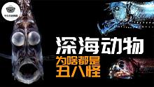 丑陋的深海生物，到底为什么都长成这样？