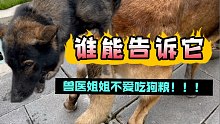 凶猛警犬暴哭抖腿：“姐，吃饭的时候能不站我背后吗，我嘴都吓漏了！”