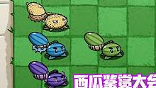 一个版本能有4种西瓜！谁的性价比最高呢？