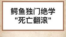 鳄鱼独门绝学“死亡翻滚”到底有多恐怖？
