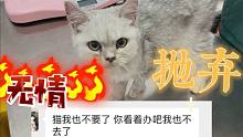 病危的猫最终还是被主人抛弃了！买猫容易救猫难！病后才知主人心