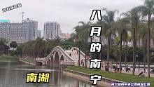 《发现南宁》八月份在南宁所走过的路和看过的风景