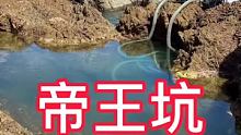 价值1000的帝王蟹打窝 八爪怪大战鲨鱼、捕食石斑鱼，极其嚣张【下集】