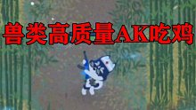 【小动物之星】兽类高质量AK吃鸡！