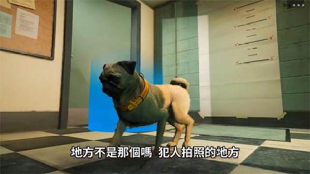 Gta5 在gta5中变成各种动物 会发生什么有趣的事情 虎牙视频 Gta5 在gta5中变成各种动物 会发生什么有趣的事情 虎牙视频