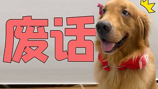 如果寵物UP也講廢話...