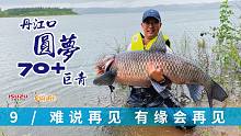 70斤巨青终于出水，冒雨继续坚守，没想到又来口了