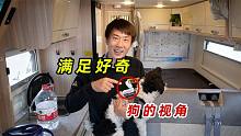 房车旅行乐趣多，出门前给飞儿装上GO2相机，狗狗会拍下什么？