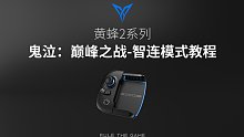 【黄蜂2】鬼泣：巅峰之战-上手教程