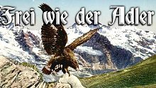 【瑞士军乐】Frei wie der Adler   像鹰一般自由飞翔