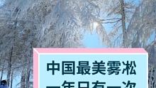 每年这个时候都会有雾凇 这要多谢谢雪炮 给个双击呗 #滑雪