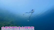 #自由潜  #海岛  #带你去看海