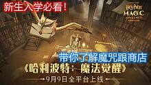 【哈利波特魔法觉醒】新生入学必看：10分钟快速了解魔咒跟商店