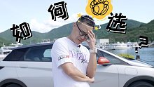 12万，你会买飞度、海豚，还是Aion Y？