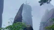 人间若有仙境，那一定是在黄山，而蓬莱三岛更是仙气逼人啊#旅行推荐官 #云雾缭绕人间仙境 #黄山 #带