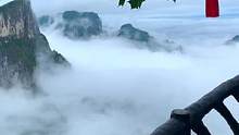鬼谷栈道上看云海，就像到了天上一样#云游张家界 #我是景区推荐官