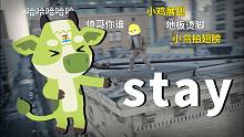 【小动物之星】⚡️STAY⚡️
