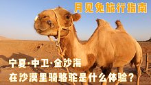 【月见兔旅行指南】在宁夏中卫金沙海骑骆驼直播精华