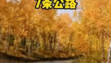 旅行的意义不在目的地，而是在路上#美景推荐 #公路 #通辽旅行社
