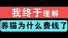 【柿子菌】颠覆认知！10分钟看完那些“烧钱”养猫发明