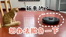 一年前：拒绝。现在：真香！多宠家庭里的米家扫拖机器人2Pro表现如何？