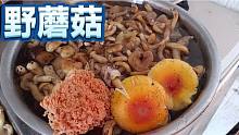 东北的野蘑菇大量上市，怎么辨认和储存野蘑菇，心仪给大家讲讲