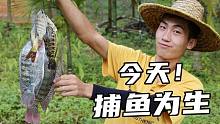 大山里的生存记2，今天计划开6亩荒种地不过还是要捕鱼为生