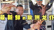多到吃不完的澳龙？在澳洲阿布罗霍斯钓鱼加游玩，太幸福啦！