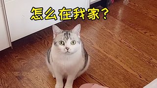 今天也是認不出美麗麻麻的一天～