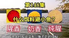 你还认为饵料太腥容易招小杂鱼？实验证明，小鱼最喜欢的并不是腥