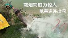小伙在鱼塘边驱鼠，这熏烟筒威力惊人，鼠害连连出洞投降