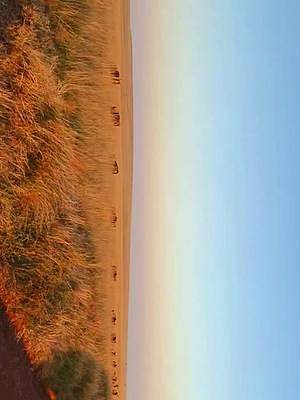累了，就来我这里，听听歌，看看风景。我用手机，记录马赛马拉草原的一天。
