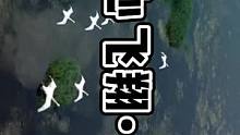 圆你一个飞翔梦#动物世界看人生百态