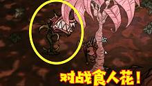 饥荒哈姆雷特03：深入丛林对战食人花，里面有食人花一家，很危险
