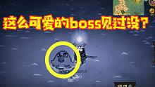 饥荒23：击杀强大的龙卷风boss，没想到它的本体是一个小海豹