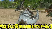 方舟手游教学06：无齿翼龙驯服完整教学，包括鞍和饲料的制作！