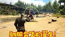 方舟生存进化01：带着翼龙出去玩，结果遇到跟篮球一样大的蜜蜂！