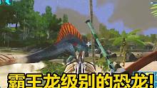 方舟手游05：驯服大型恐龙剑龙，还有跟霸王龙一个级别的棘背龙！