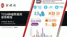 生物信息学基础，从TCGA开始！（还拓展了R语言教程哦）