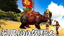 方舟生存进化 灭绝12：开始组建军团，抓到精英野人，能召唤恐熊