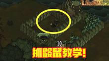饥荒31：闹腾的宠物，鼹鼠抓捕教学视频，把偷吃东西的鼹鼠养起来