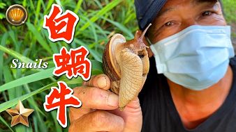 從零開始養(yǎng)戶外直播_從零開始養(yǎng)視頻直播 - 虎牙直播