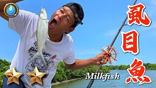 野味46集 | 虱目魚 | 豆豉 | 麻油麵線 | Milkfish | 萍哥Pinger