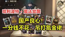 【哈利波特 魔法觉醒】零氪党抽出第四金后，中二之魂爆发了！