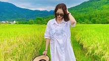 黄山脚下的这片稻田，是每年都要去打卡的。稻谷熟了，快来帮忙打稻子#让喜欢的事成为生活