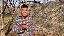 大家好，我是大壮，今晌午咱们搞个PJ猪头